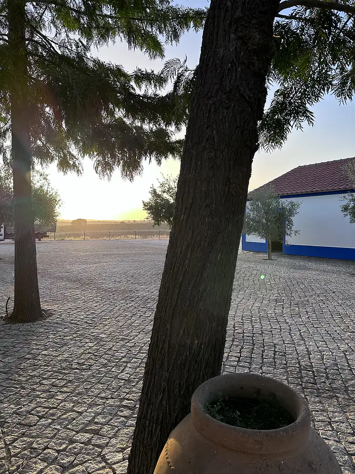 Villa Monte do Foro Espanhol - Impression 3